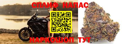 apvp Бузулук