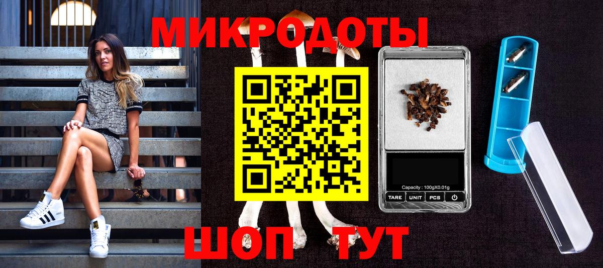 Псилоцибиновые грибы мицелий Красный Сулин